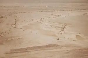 Běh 5 Km Průměrný Čas